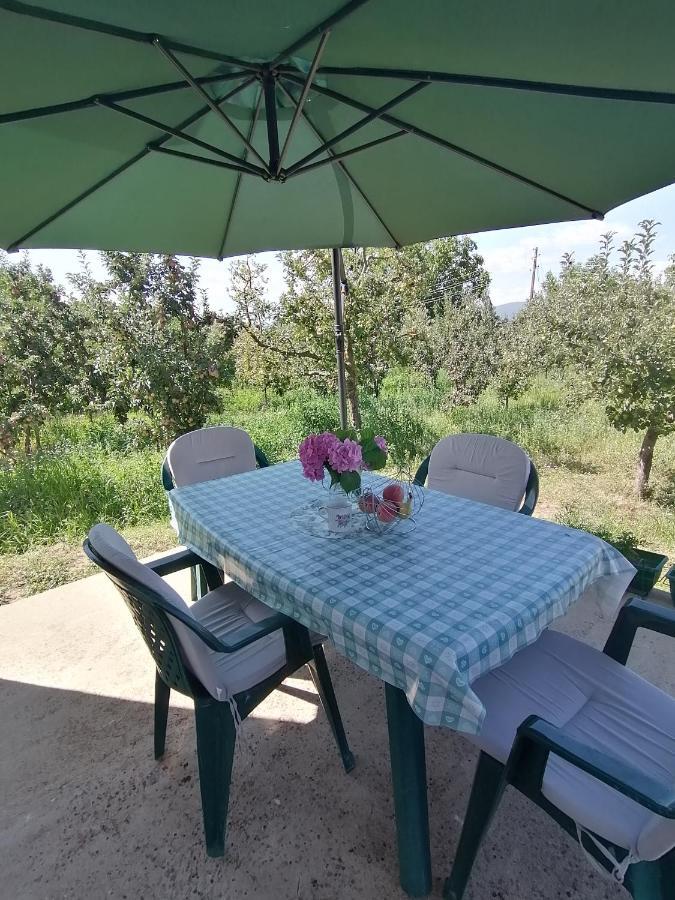Villa Lila Dolno Dupeni Exteriör bild